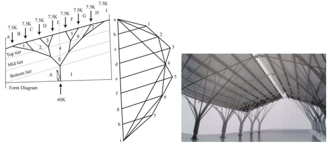 Branching structure. Form finding of Branched structures.